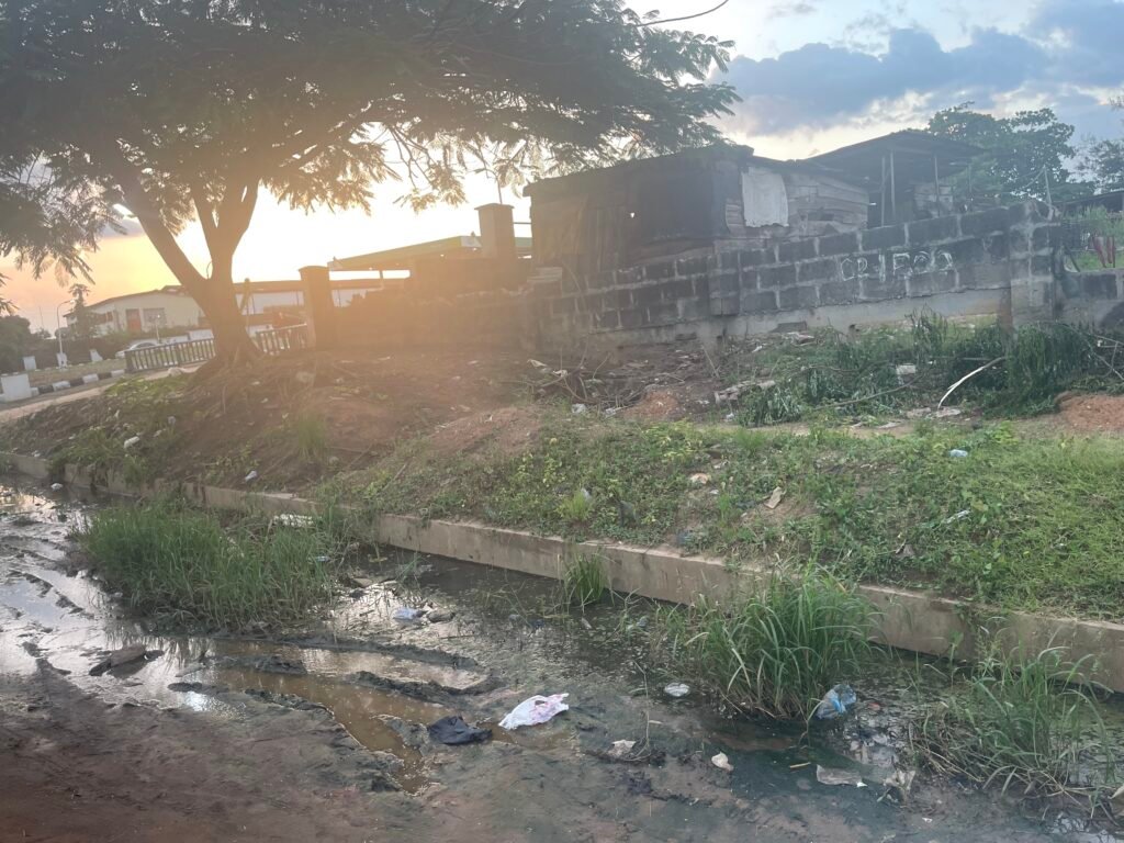 IMG_4736